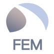 FEM Machinery logo